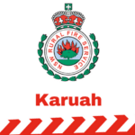 nsw rural fire service logo